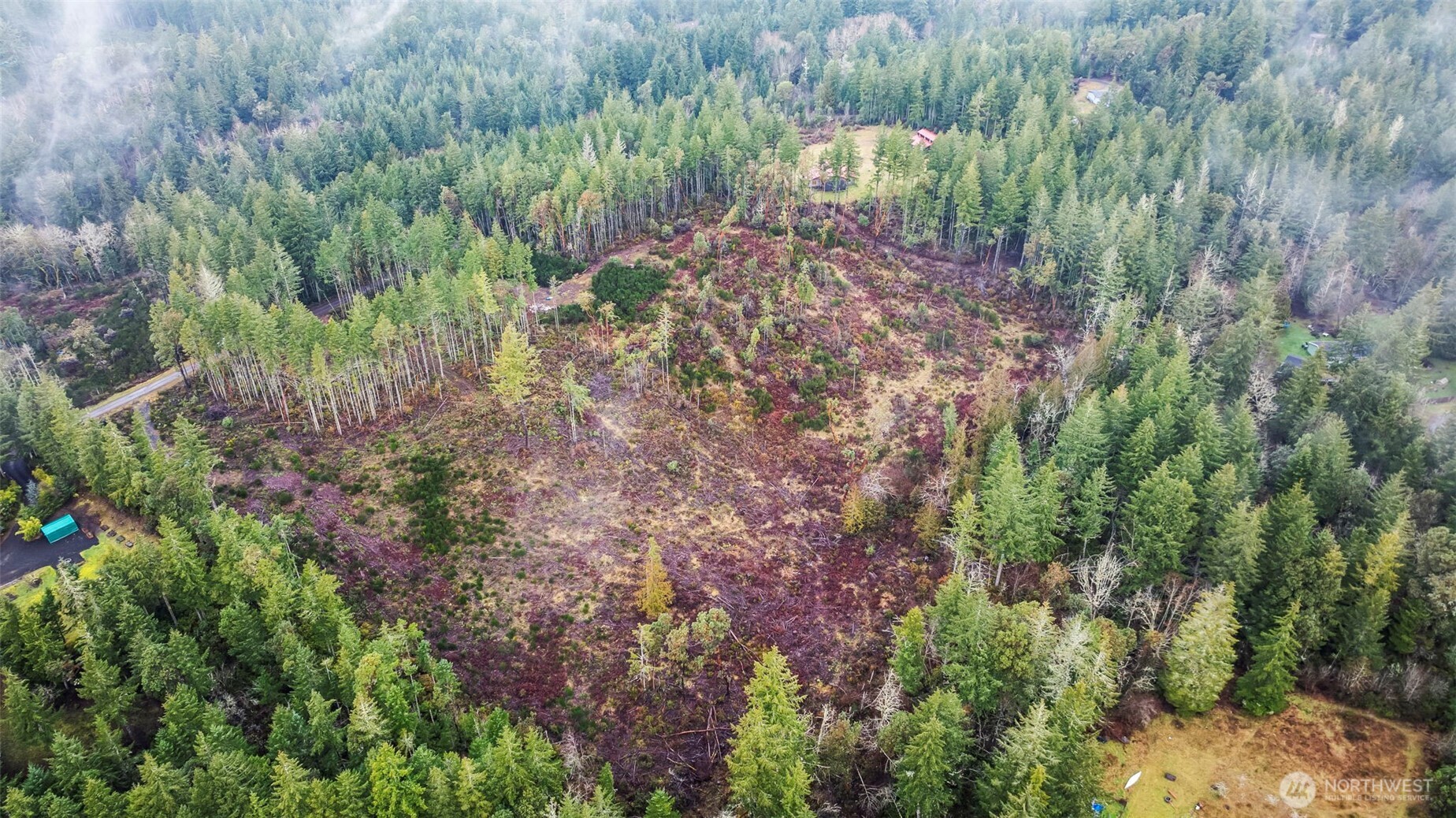 1809 208th Avenue Southwest Lakebay, WA 98349 - Photo 3 of 22 a view of a forest that has a tree