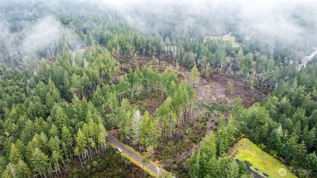 a view of a garden with plants and a bench