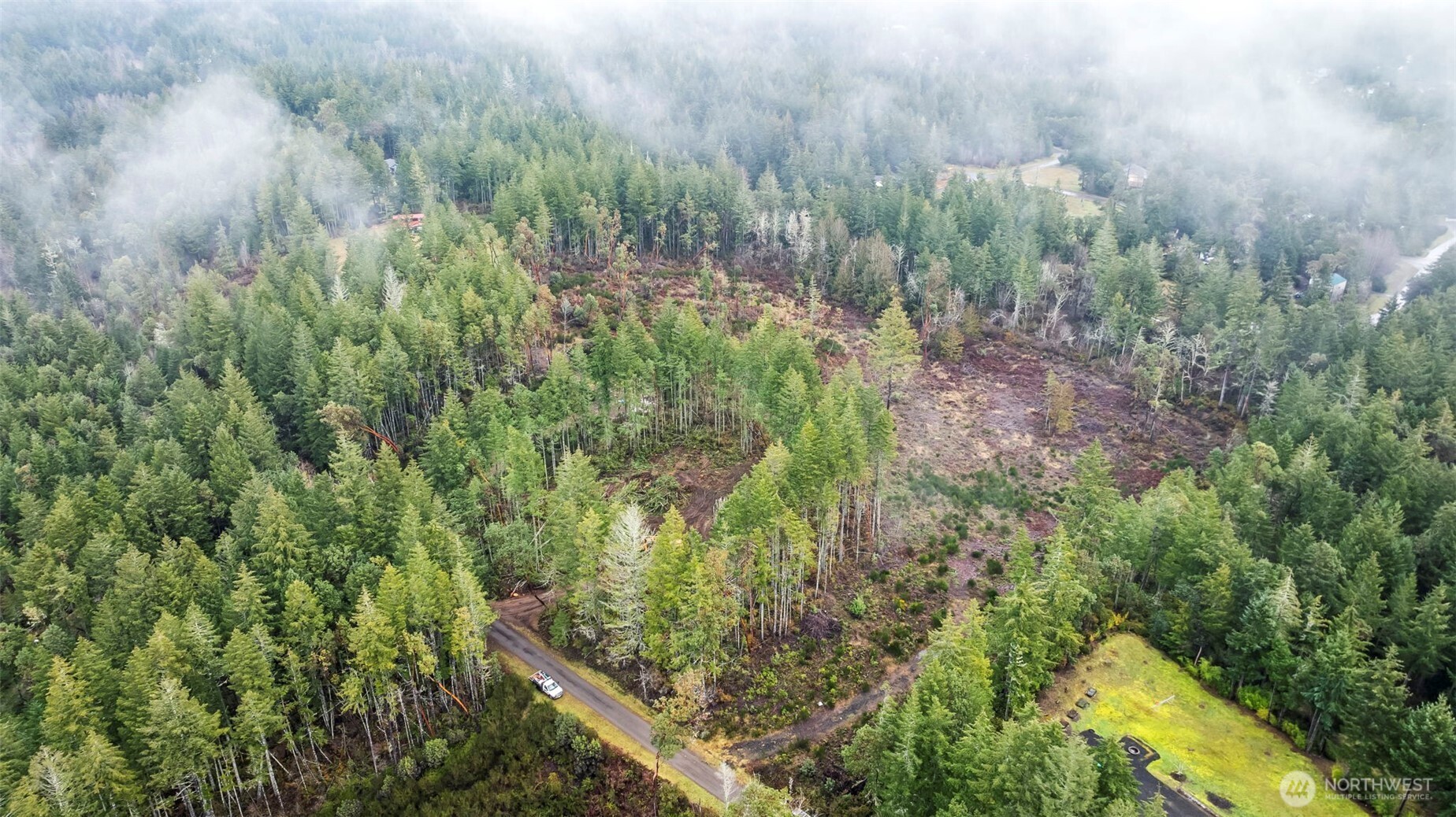 1809 208th Avenue Southwest Lakebay, WA 98349 - Photo 5 of 22 a view of a garden with plants and a bench