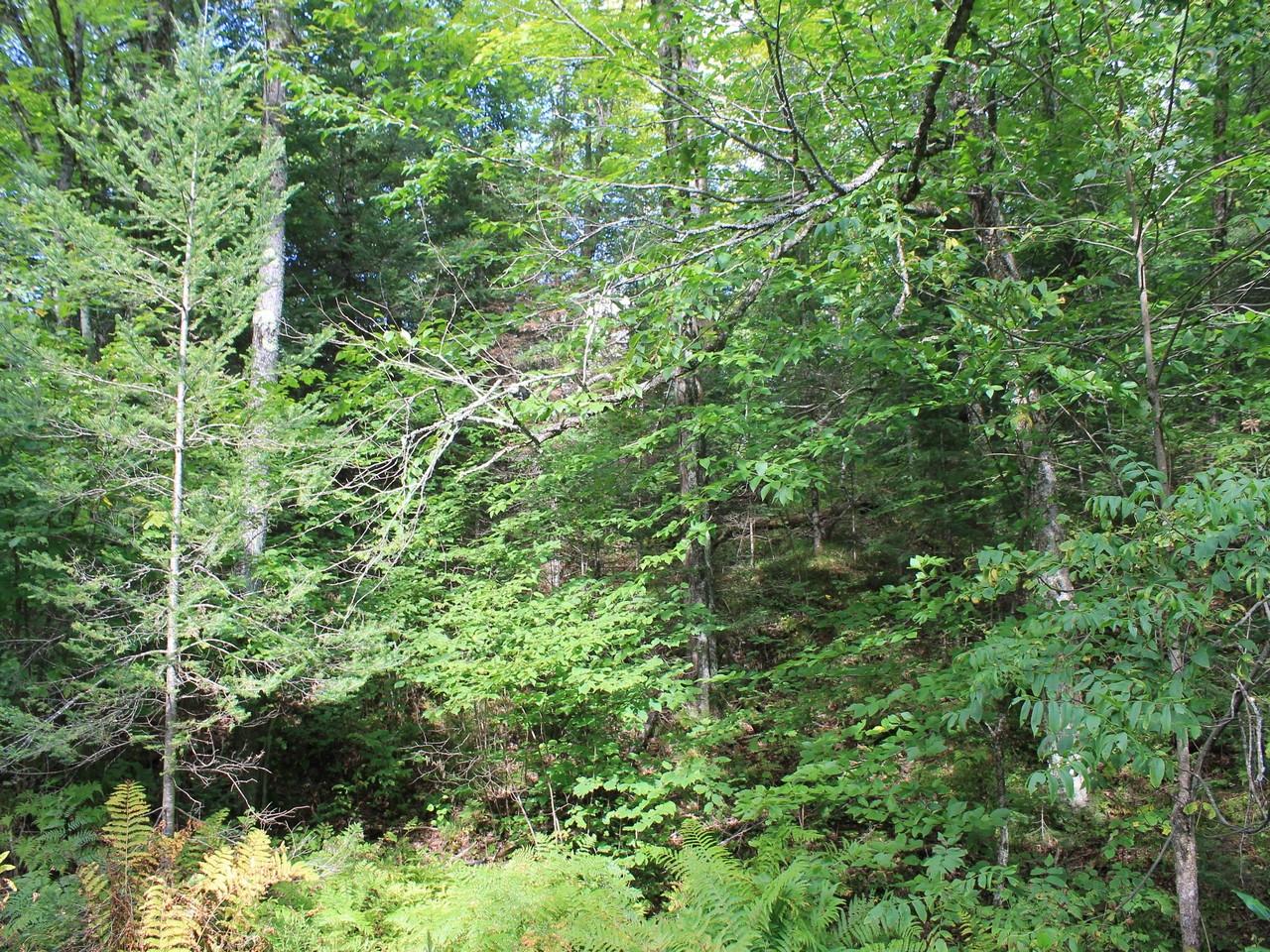On East Bay Road Presque Isle, WI 54557 - Photo 12 of 34 Gallery Image 12