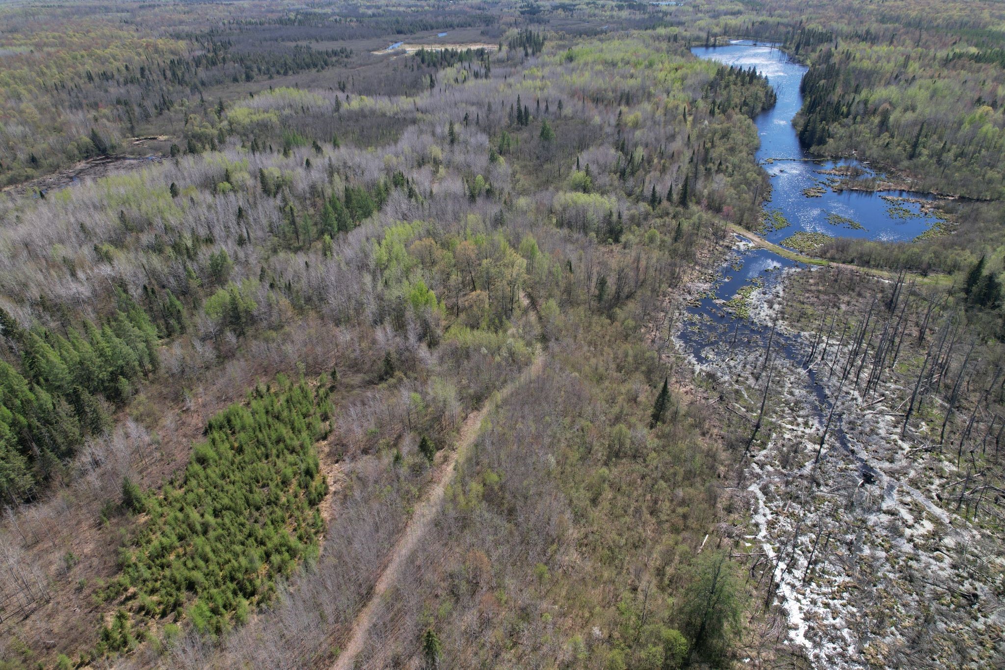 Off Hay Creek Road Prentice, WI 54556 - Photo 22 of 44