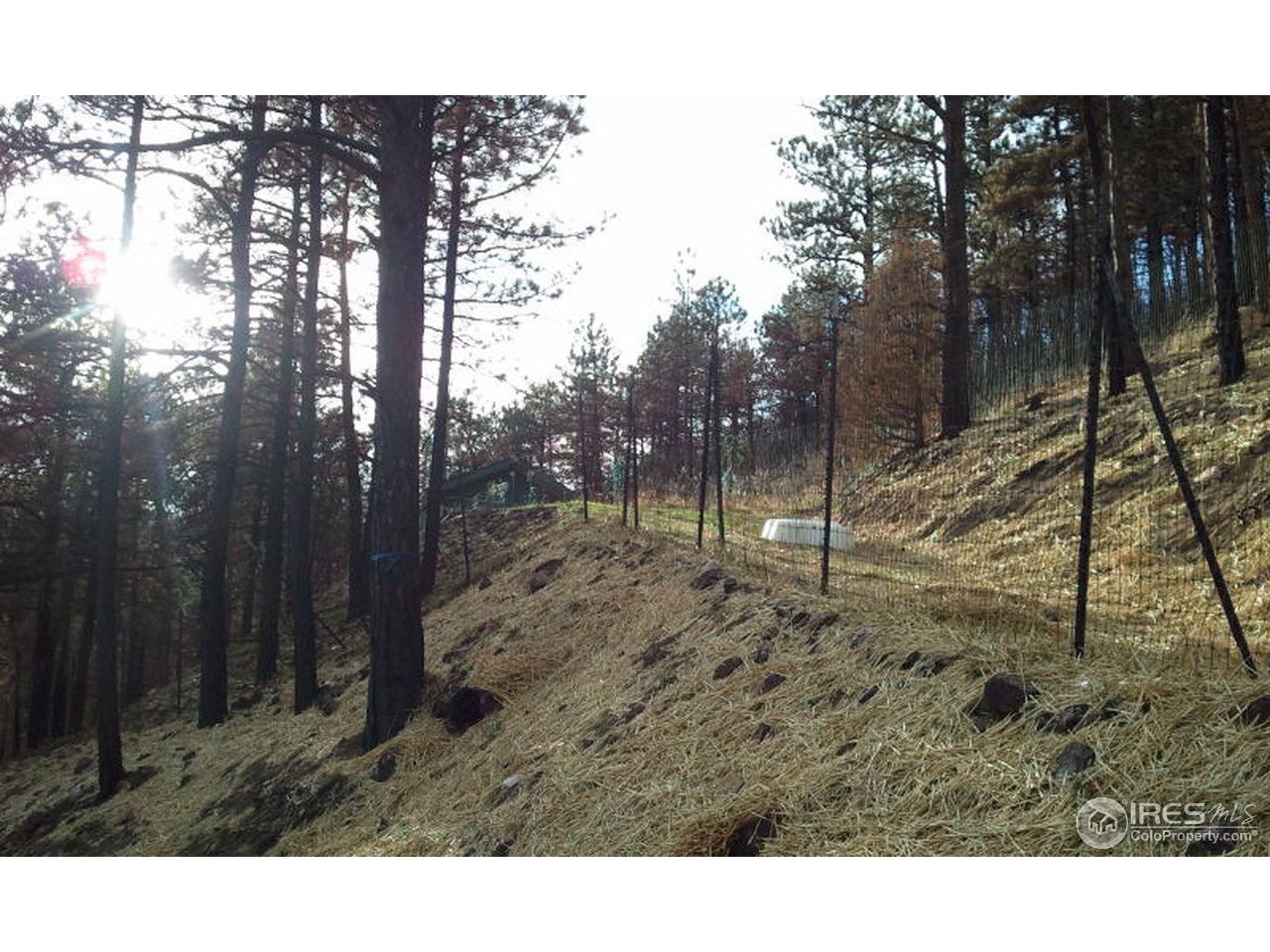 558 Gold Run Road Boulder, CO 80302 - Photo 2 of 2