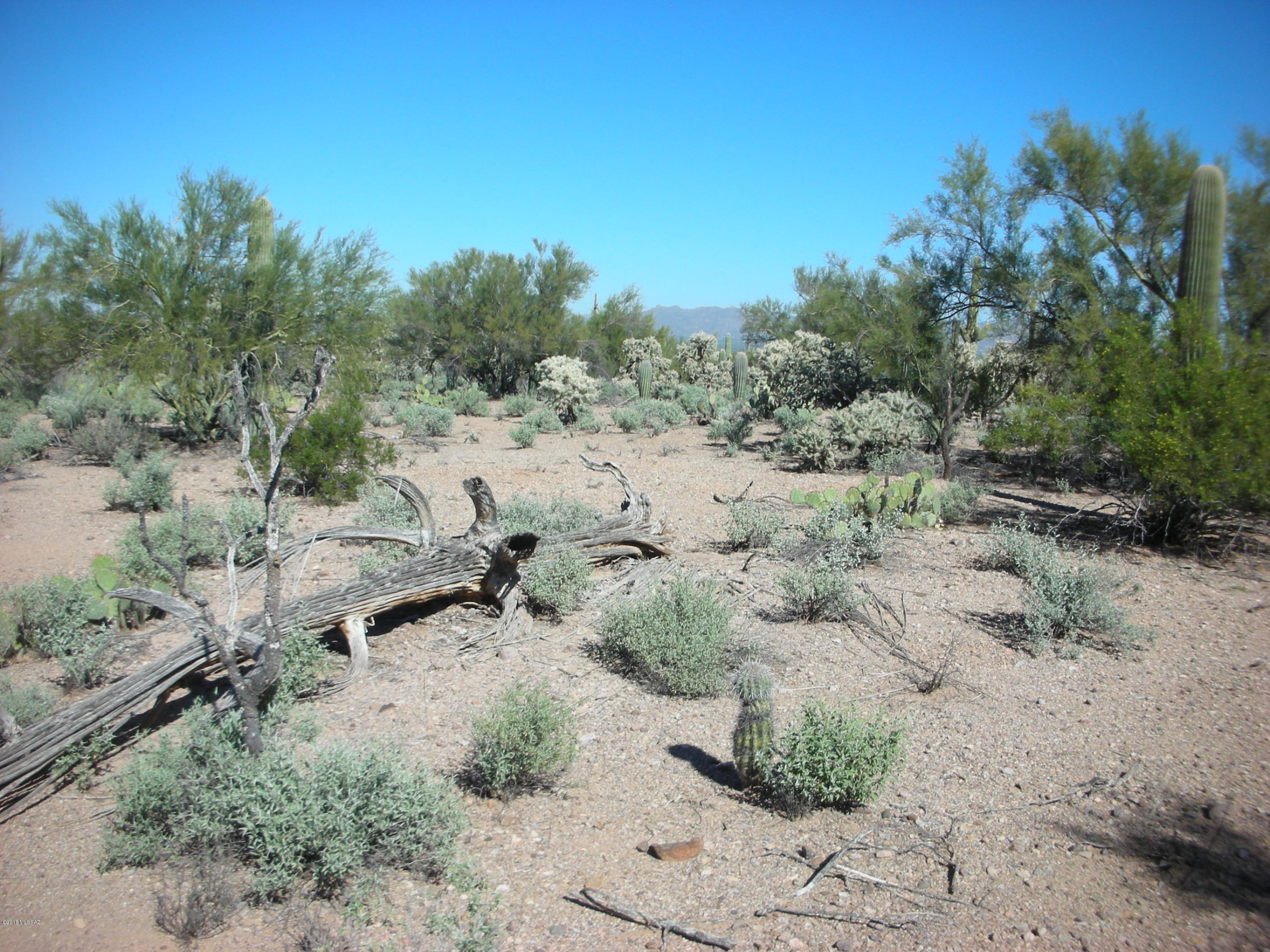 7490 West Ina Road Tucson, AZ 85743 - Photo 16 of 18 Gallery Image 16