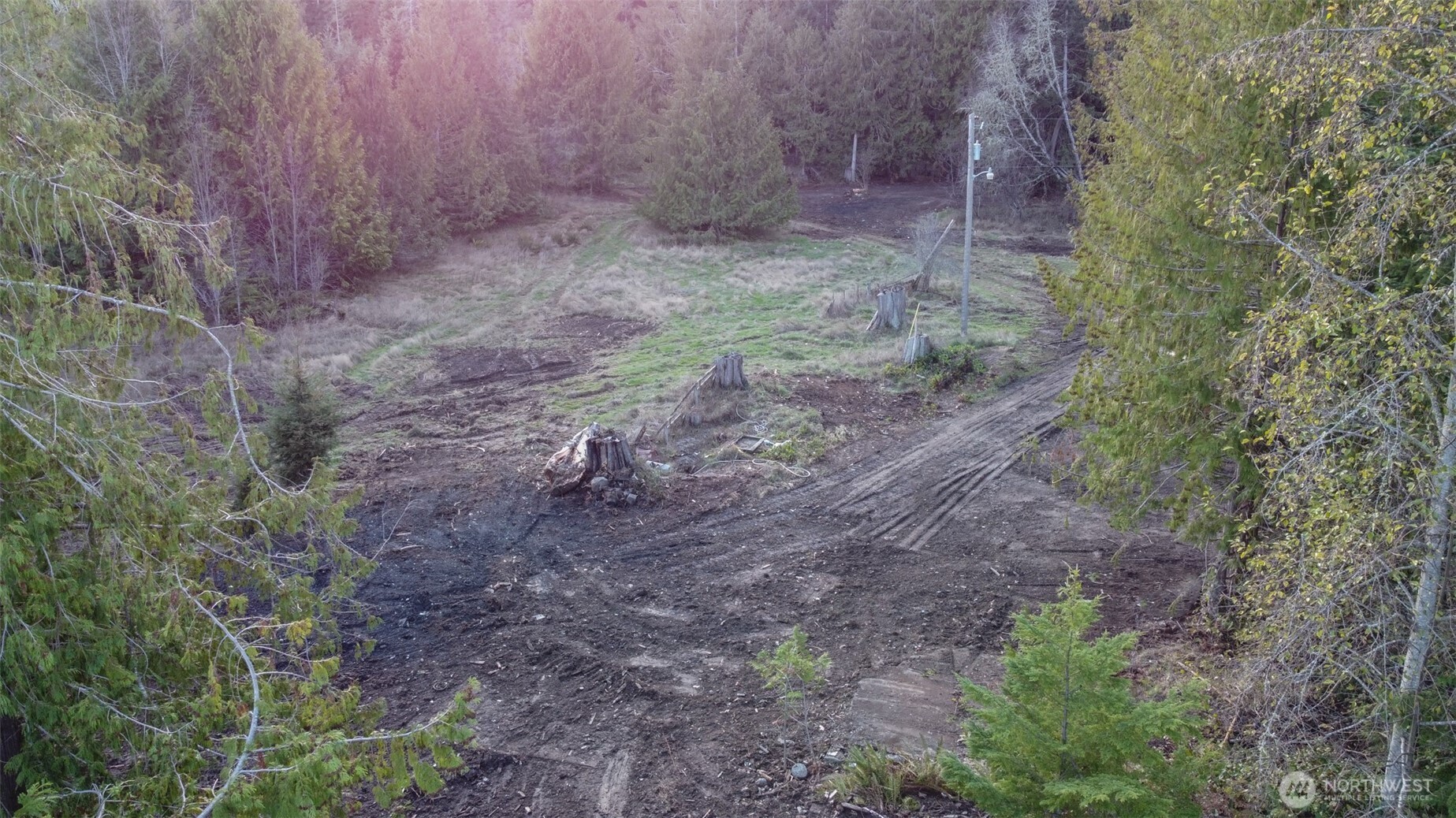 a view of a yard with trees