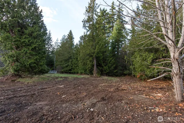 a view of a yard with lots of trees