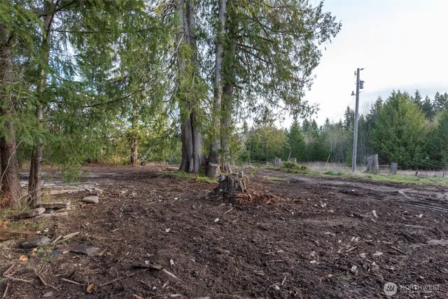 a view of outdoor space with trees