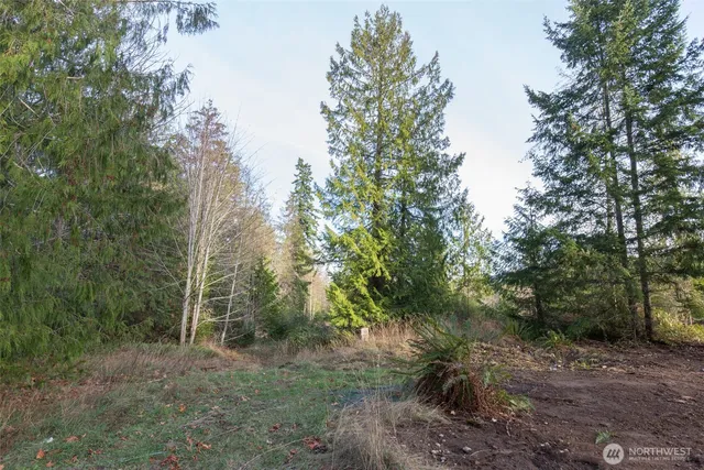 a view of a outdoor space with trees