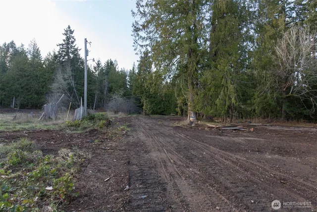 a view of a yard with a trees