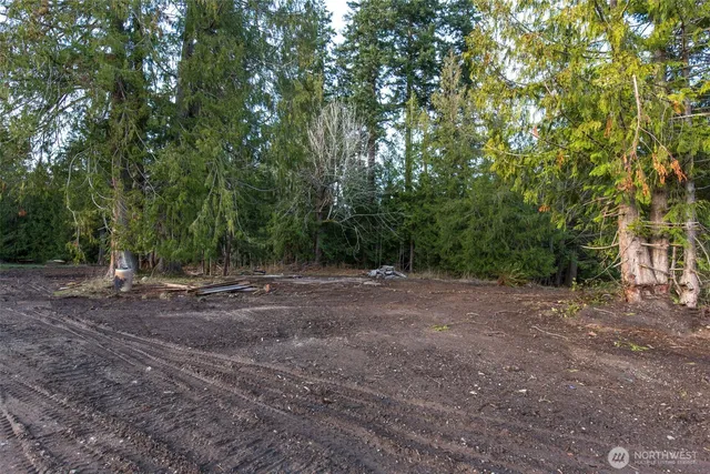 a view of a park with large trees