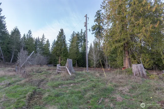 a view of a dry yard with trees in the background