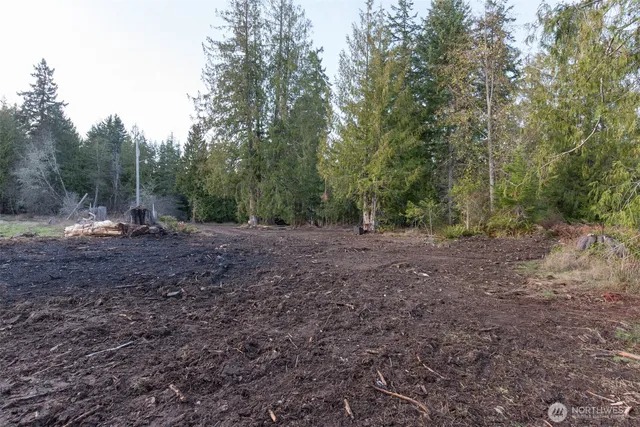 a view of a yard with a tree