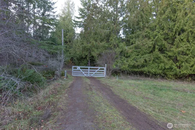 a view of a forest filled with trees