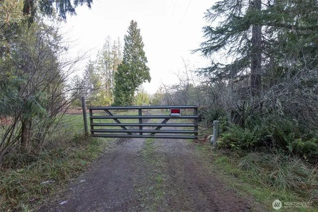 a view of a forest with trees in the background