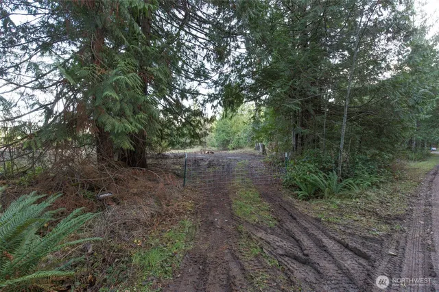 a view of a backyard with trees
