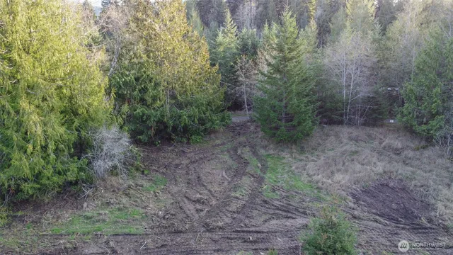 a view of a yard with plants and trees
