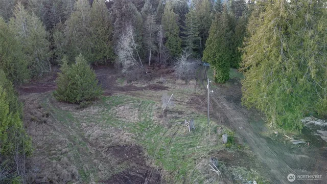 a view of a yard with plants and trees
