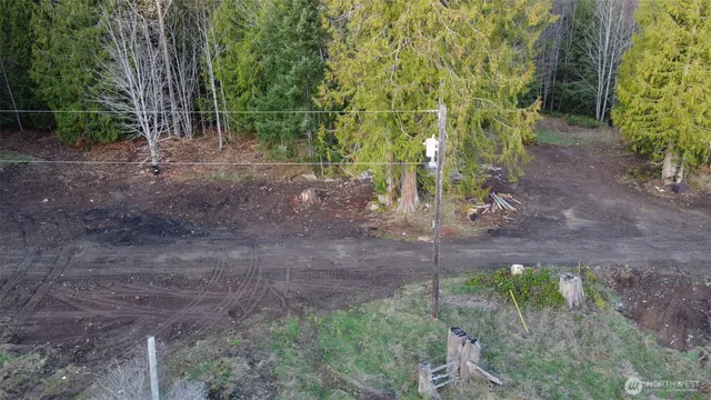 a view of a forest with a houses