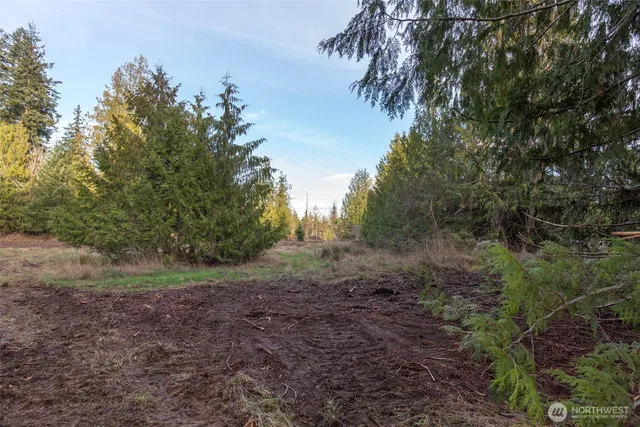 a view of a yard with a tree