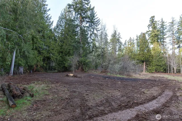 a view of an outdoor space with trees
