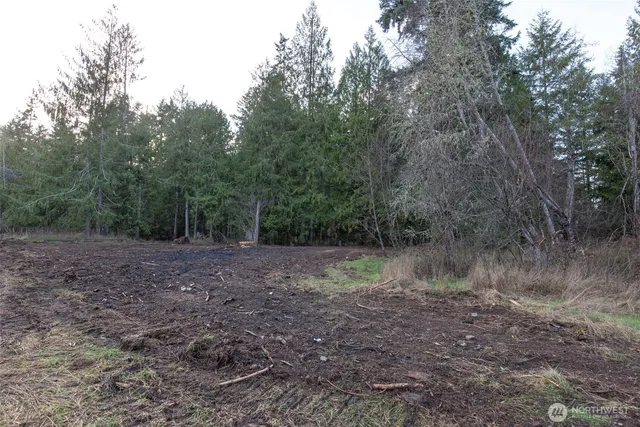 a view of a field with trees in background