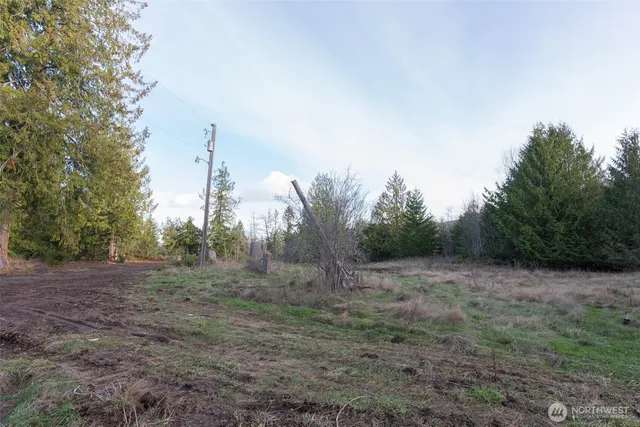 a view of a field with trees in the background
