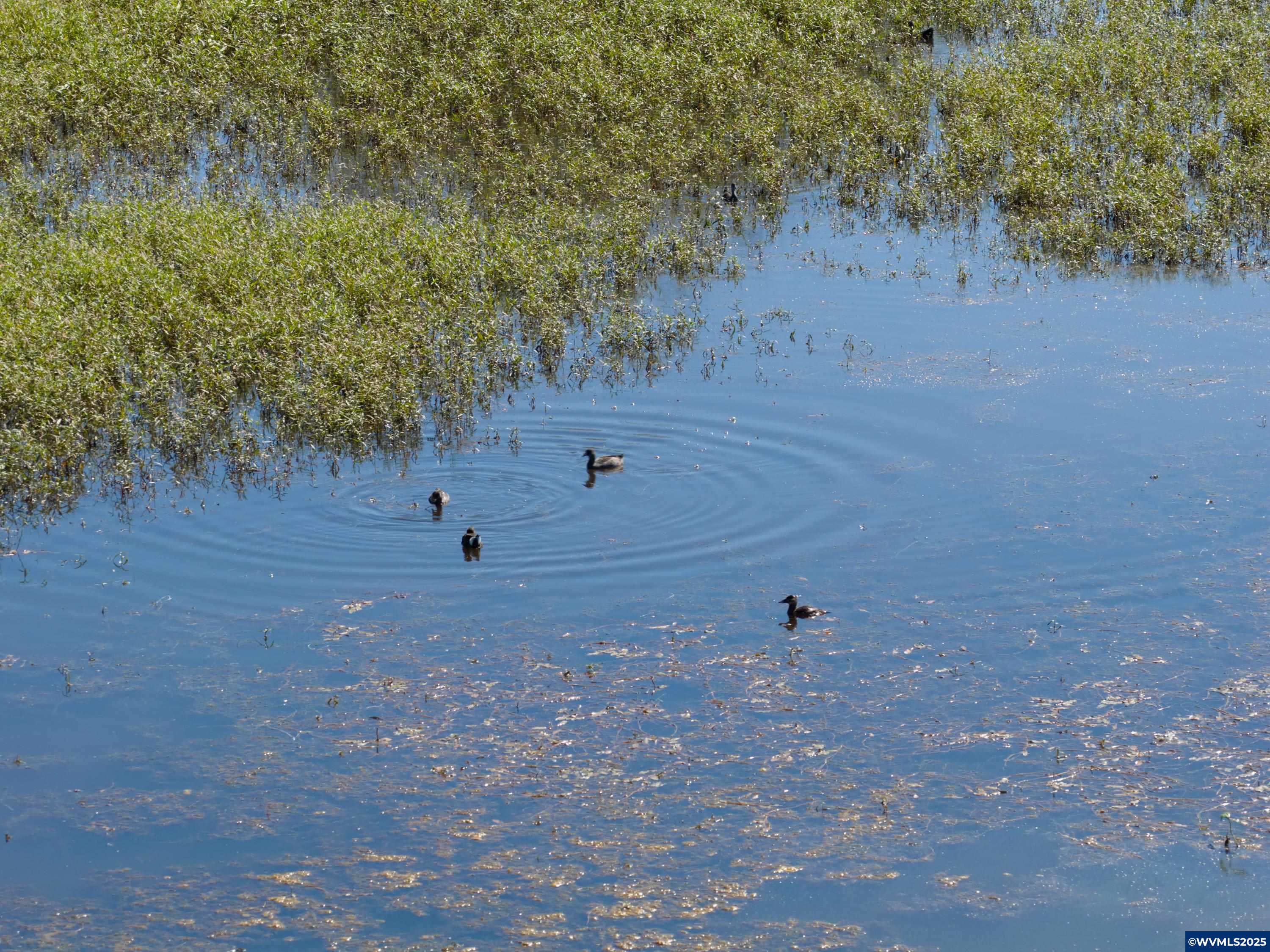 Lot 5332 Duck Club Scappoose, OR 97056 - Photo 21 of 33