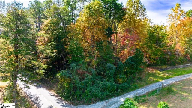 $50,000 | 0 Holly Springs School Road, Pickens, SC 29671