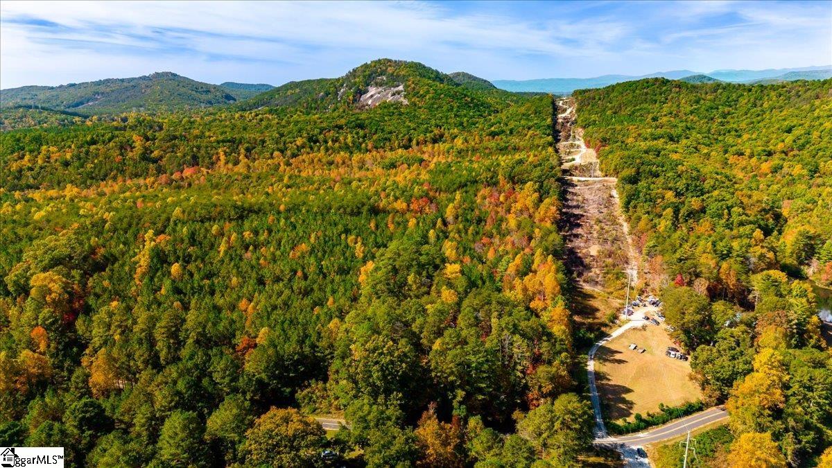 0 Holly Springs School Road Pickens, SC 29671 - Photo 3 of 11