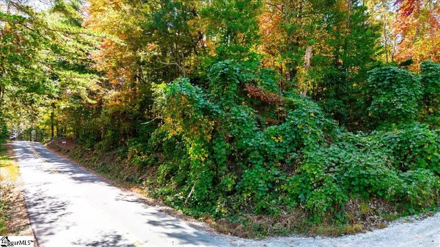 $50,000 | 0 Holly Springs School Road, Pickens, SC 29671