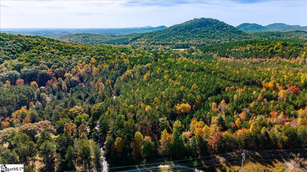 0 Holly Springs School Road Pickens, SC 29671 - Photo 5 of 11