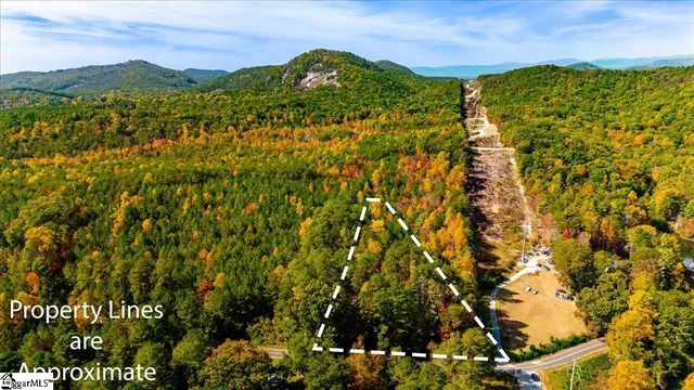 $50,000 | 0 Holly Springs School Road, Pickens, SC 29671