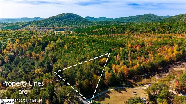 $50,000 | 0 Holly Springs School Road, Pickens, SC 29671