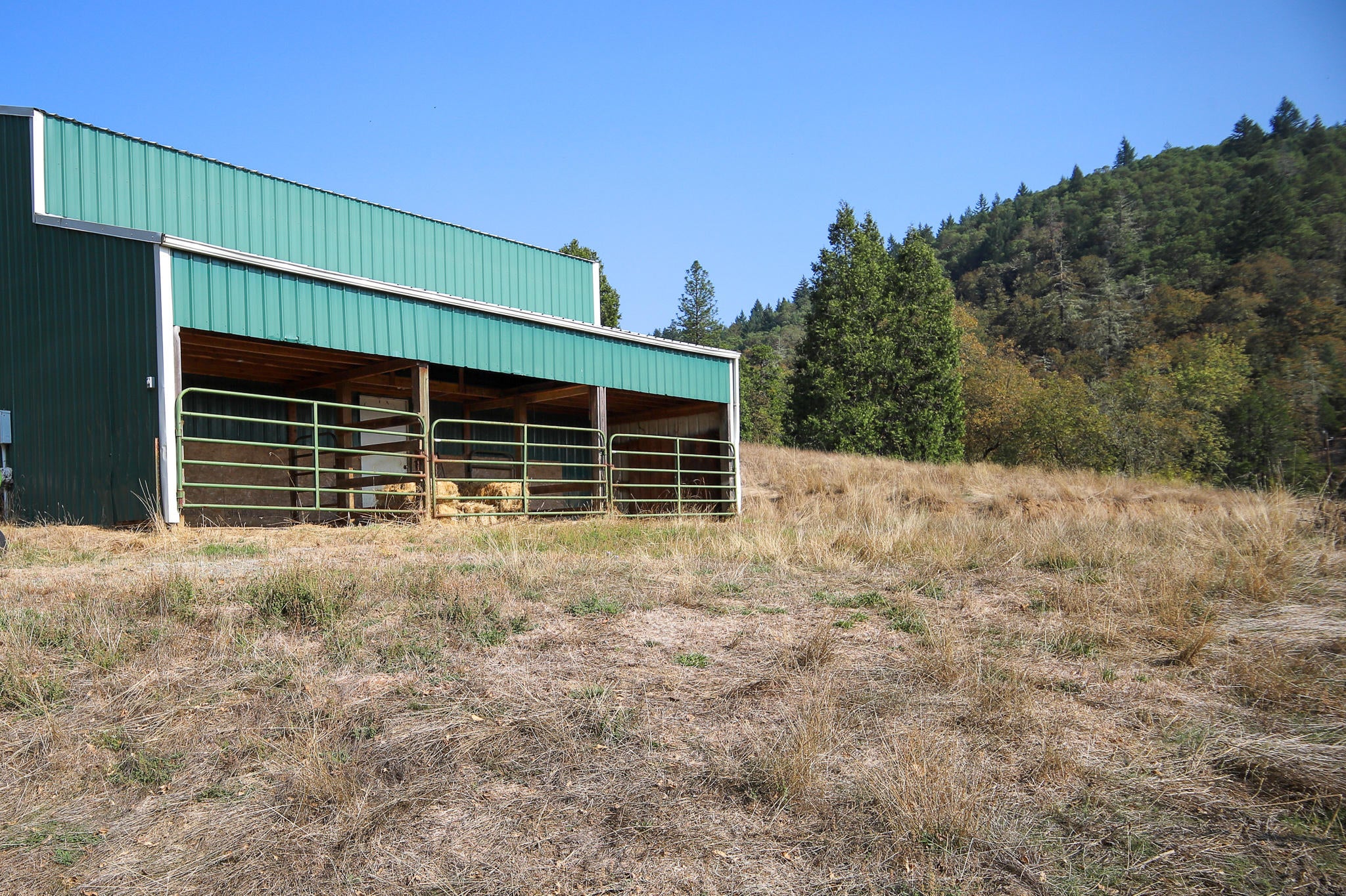 1310 Spring Brook Road Myrtle Creek, OR 97457 - Photo 28 of 30 Barn / Shop
