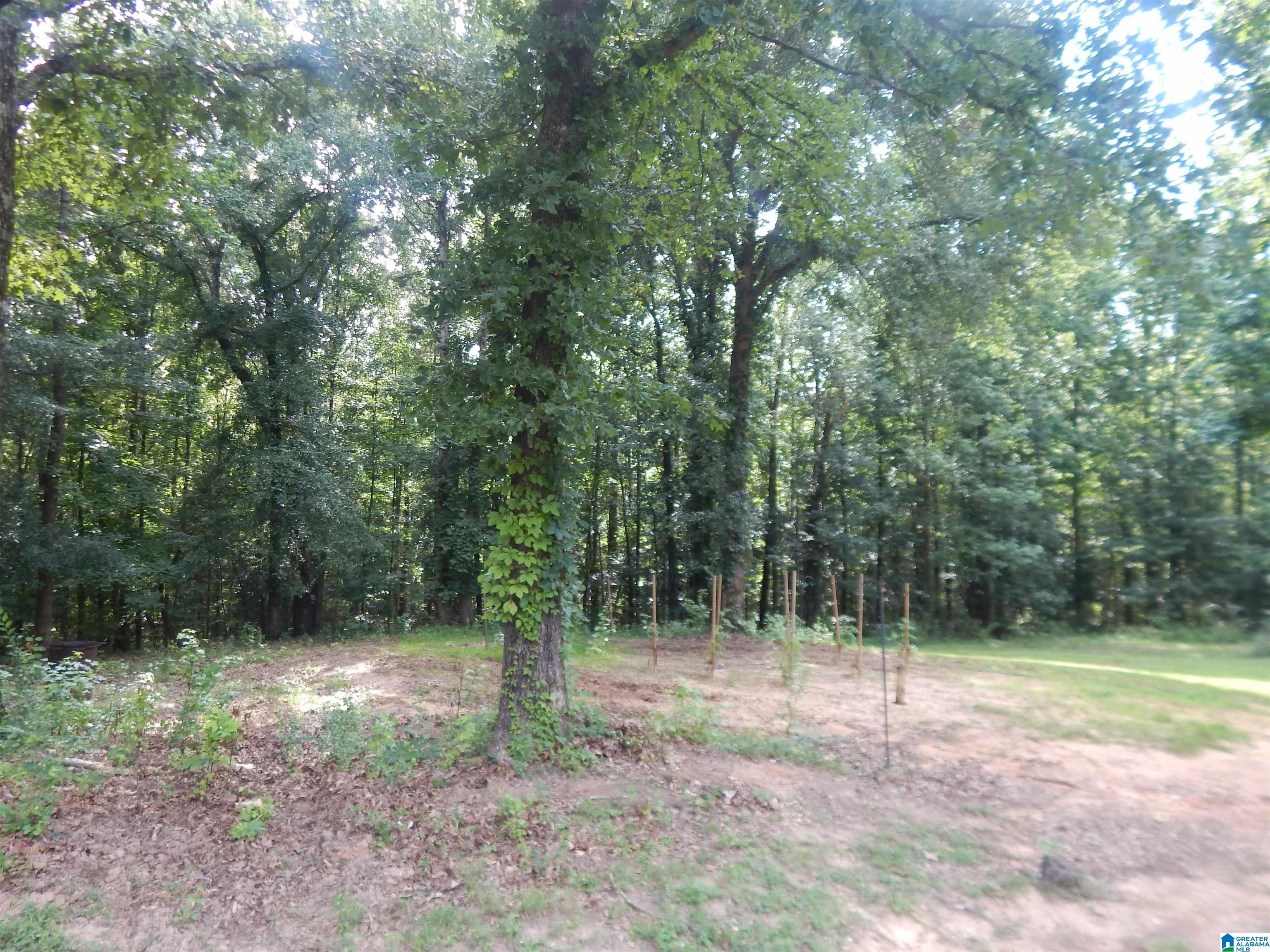 474 Caffee Creek Road Woodstock, AL 35188 - Photo 19 of 21