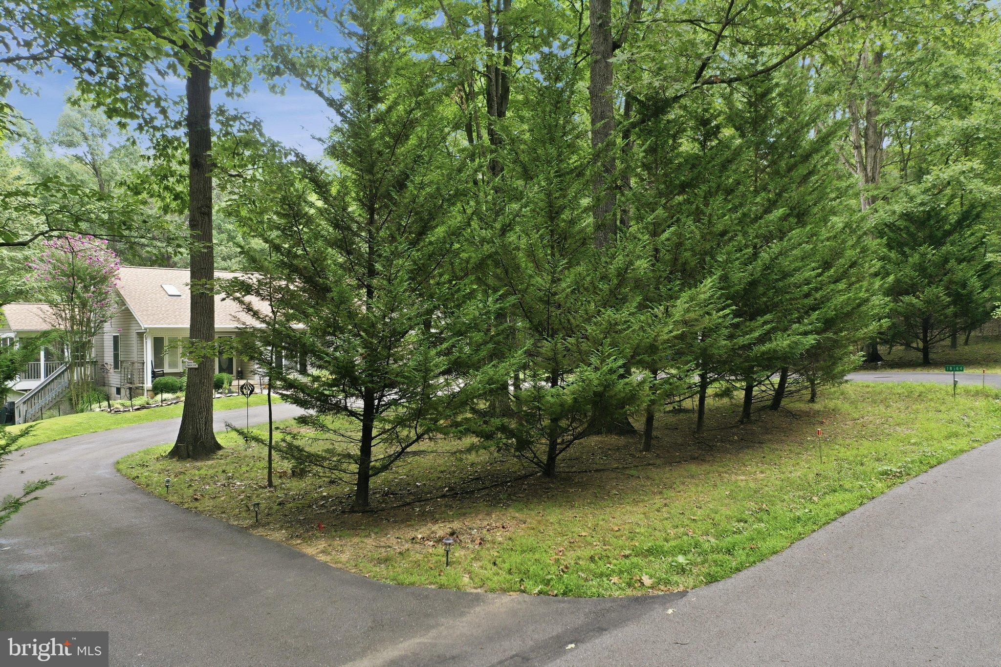 18664 Rivergate Road Keedysville, MD 21756 - Photo 54 of 64 Privacy from road