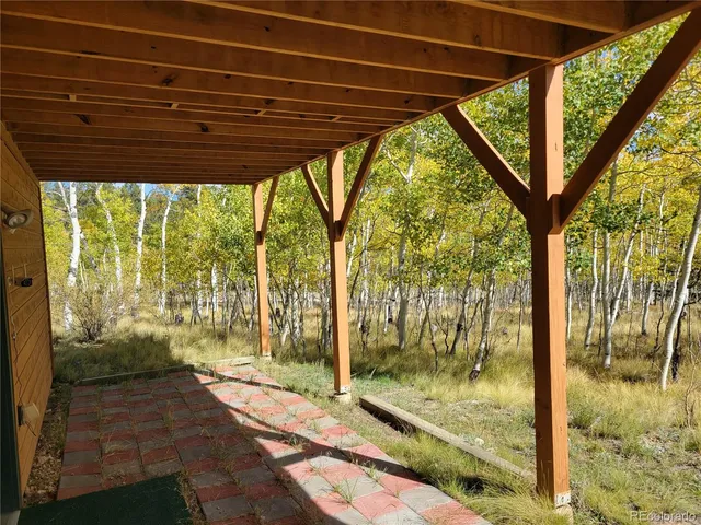 a view of a painting of the tree