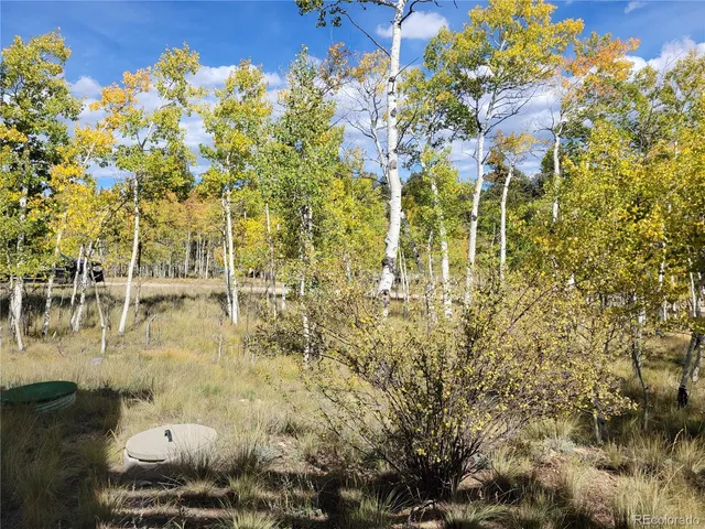 a view of swimming pool from a patio
