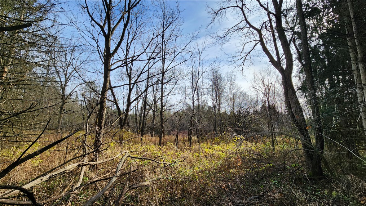 0 Dibble & Ellis Roads Dundee, NY 14837 - Photo 12 of 25