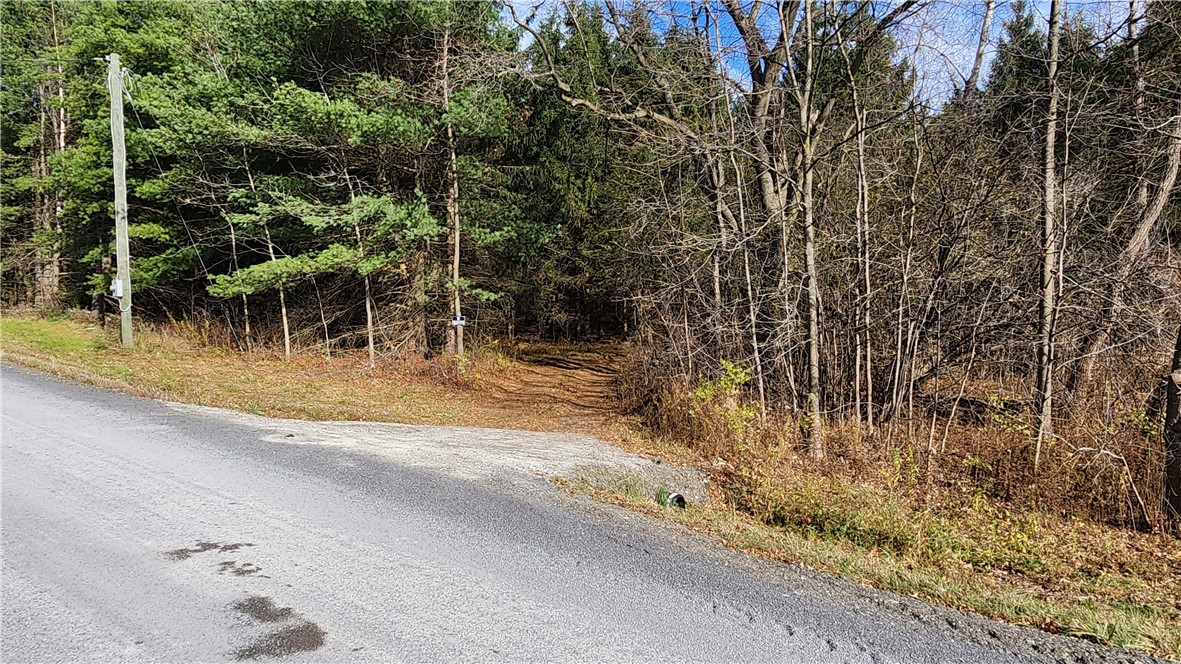 0 Dibble & Ellis Roads Dundee, NY 14837 - Photo 16 of 25