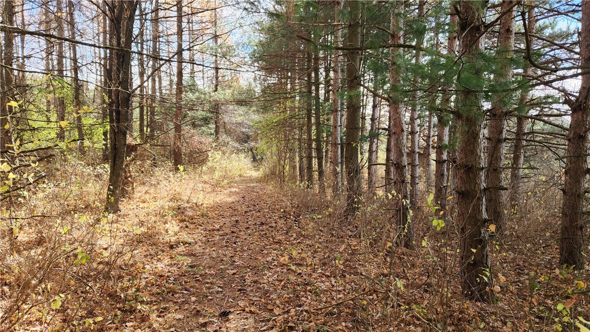 0 Dibble & Ellis Roads Dundee, NY 14837 - Photo 19 of 25