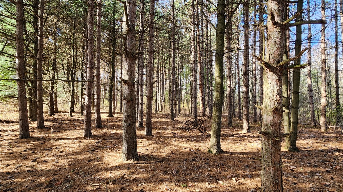 0 Dibble & Ellis Roads Dundee, NY 14837 - Photo 2 of 25