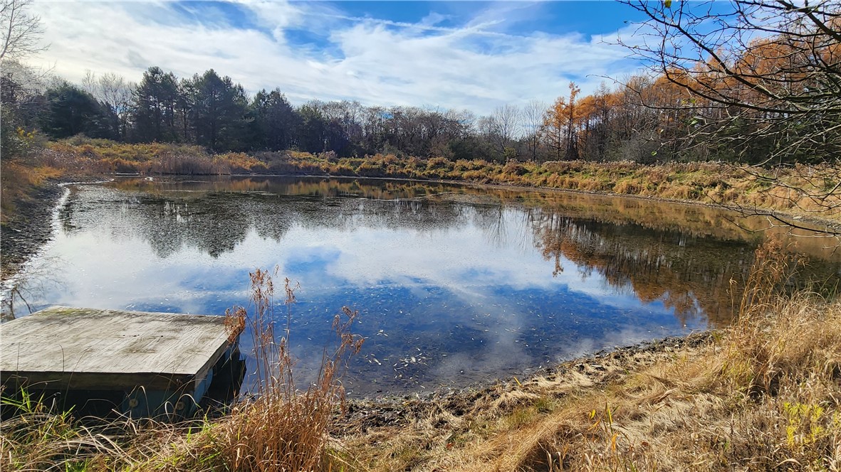 0 Dibble & Ellis Roads Dundee, NY 14837 - Photo 3 of 25