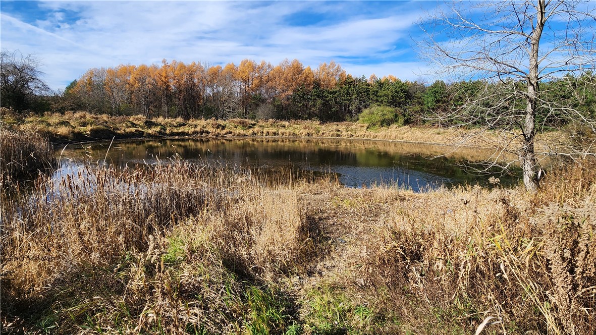 0 Dibble & Ellis Roads Dundee, NY 14837 - Photo 4 of 25