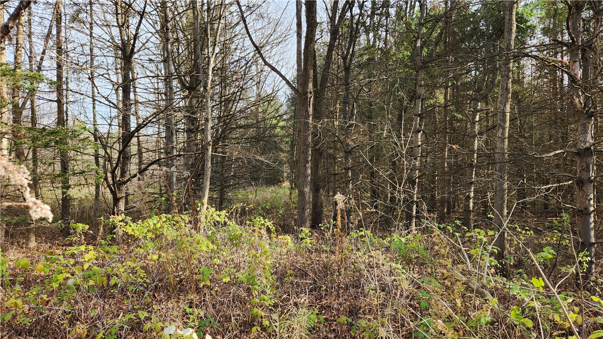 0 Dibble & Ellis Roads Dundee, NY 14837 - Photo 9 of 25