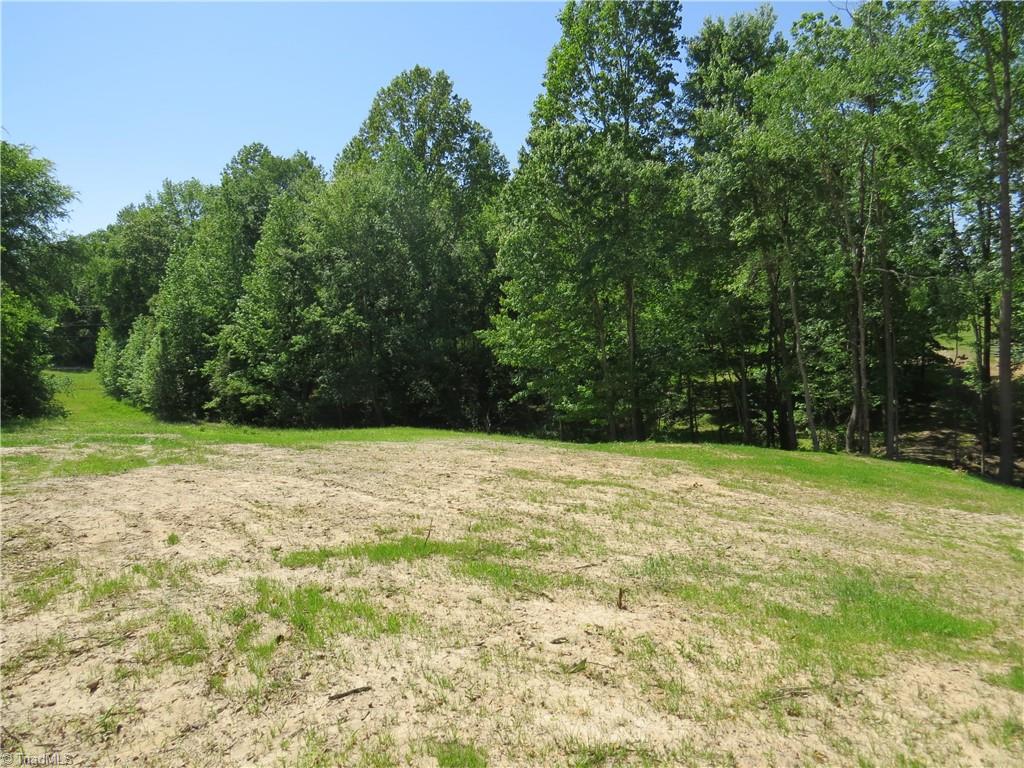 5765 Chrismon Road Browns Summit, NC 27214 - Photo 3 of 10 Driveway would be in the top left grassy area of this photo
