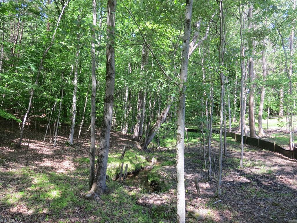 5765 Chrismon Road Browns Summit, NC 27214 - Photo 8 of 10 Creek runs along edge of property