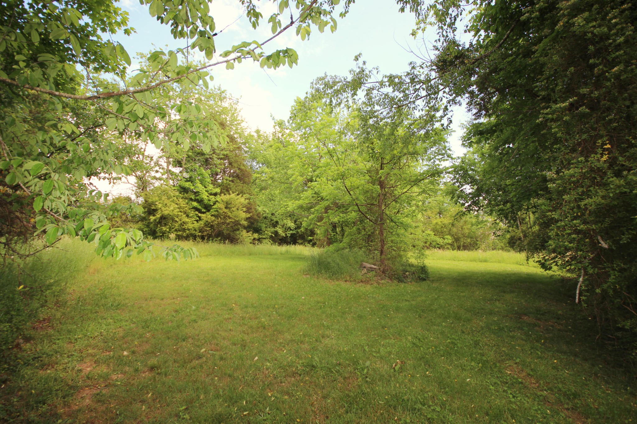 7716 Gibbs Road Corryton, TN 37721 - Photo 5 of 25