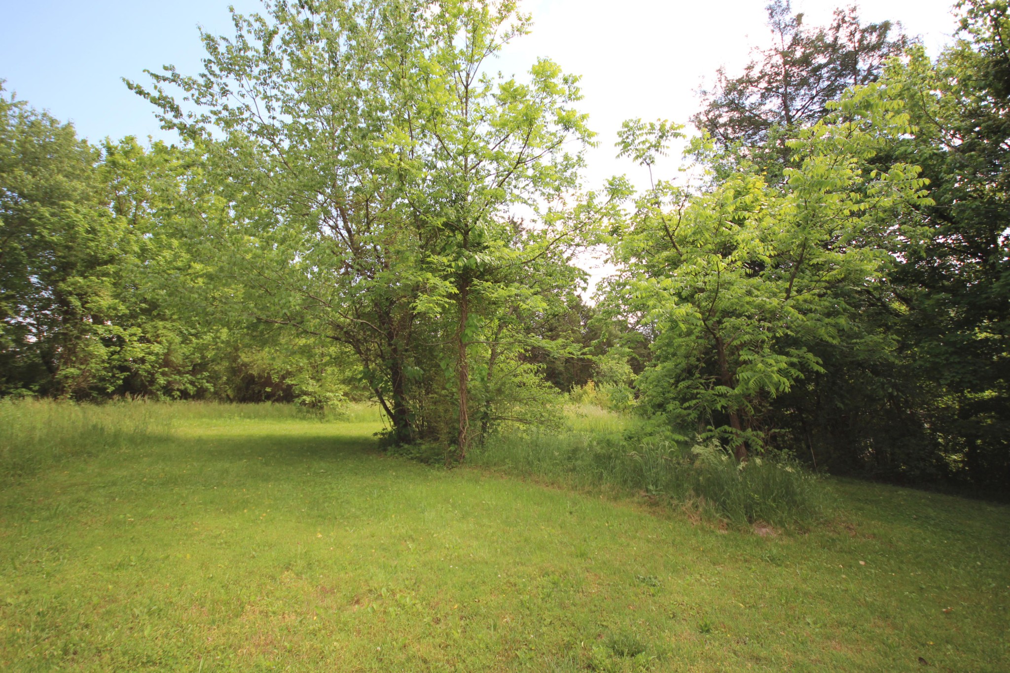 7716 Gibbs Road Corryton, TN 37721 - Photo 6 of 25