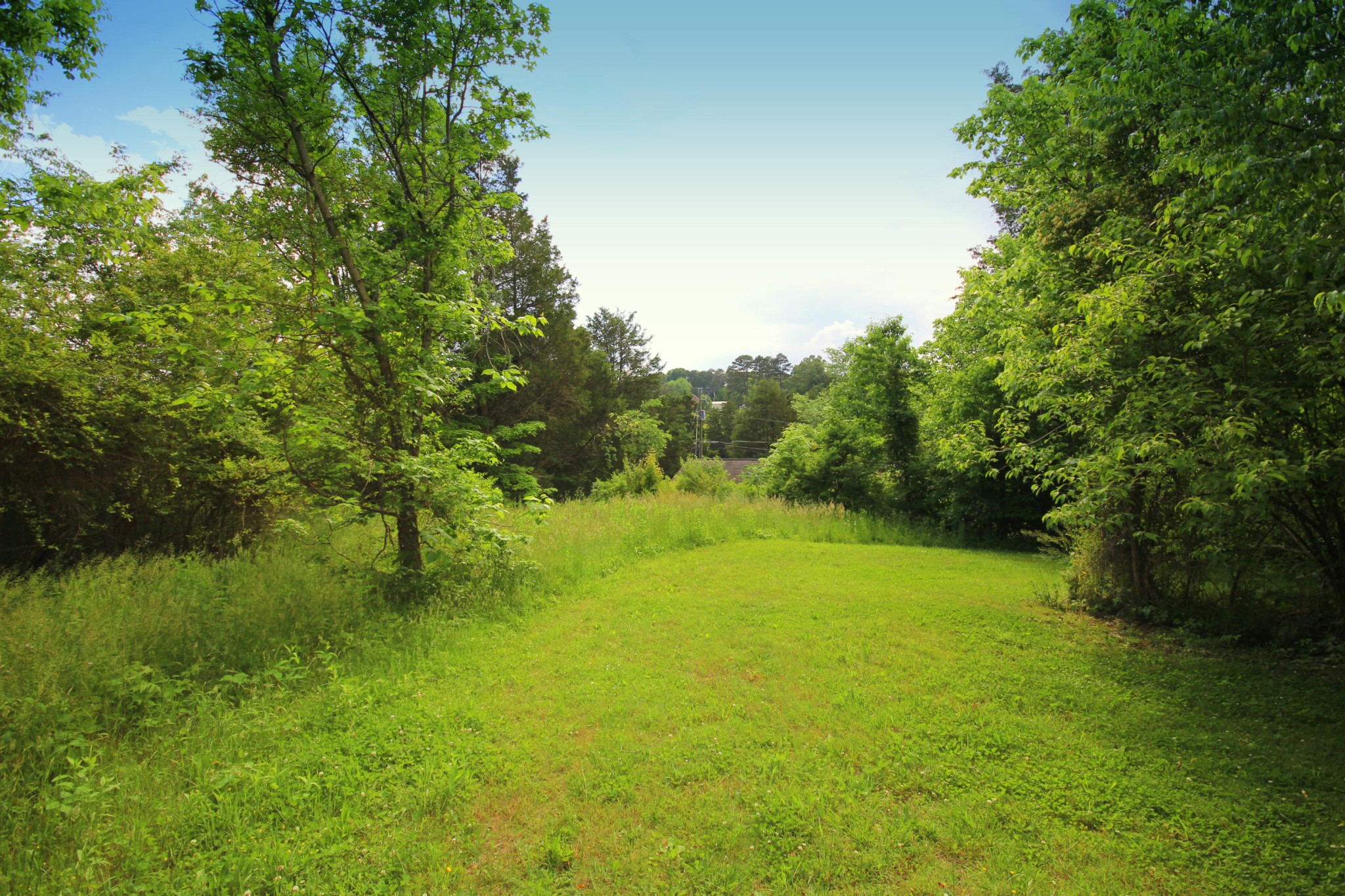 7716 Gibbs Road Corryton, TN 37721 - Photo 8 of 25