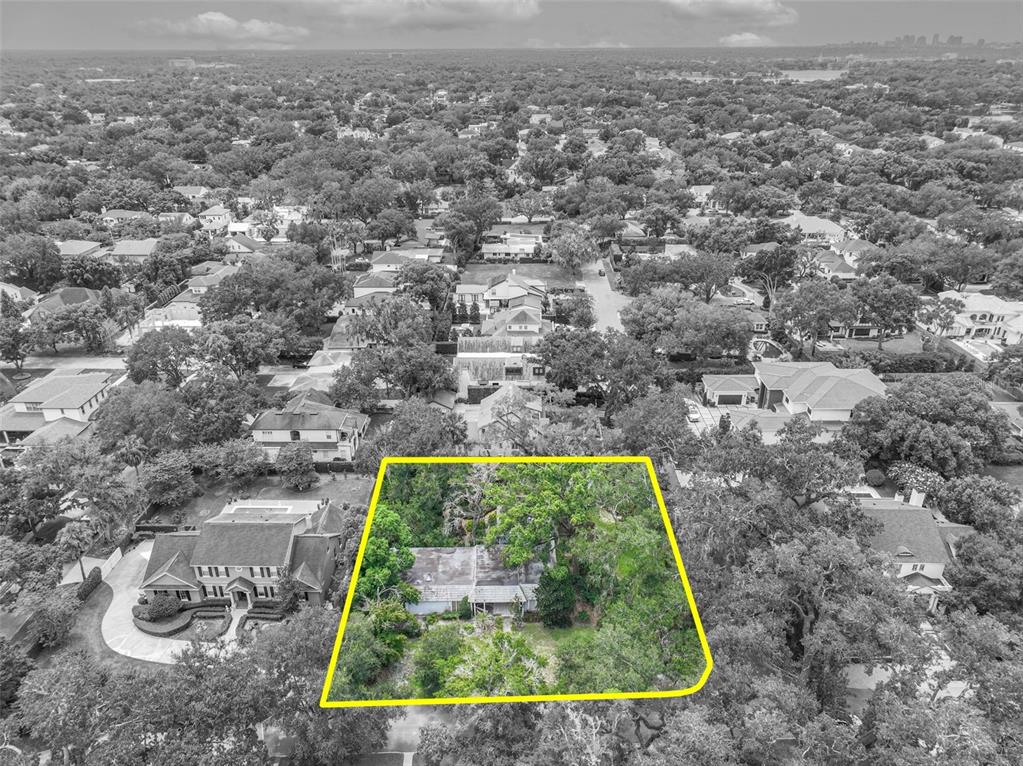 1220 Sharon Place Winter Park, FL 32789 - Photo 6 of 11 Gallery Image 6